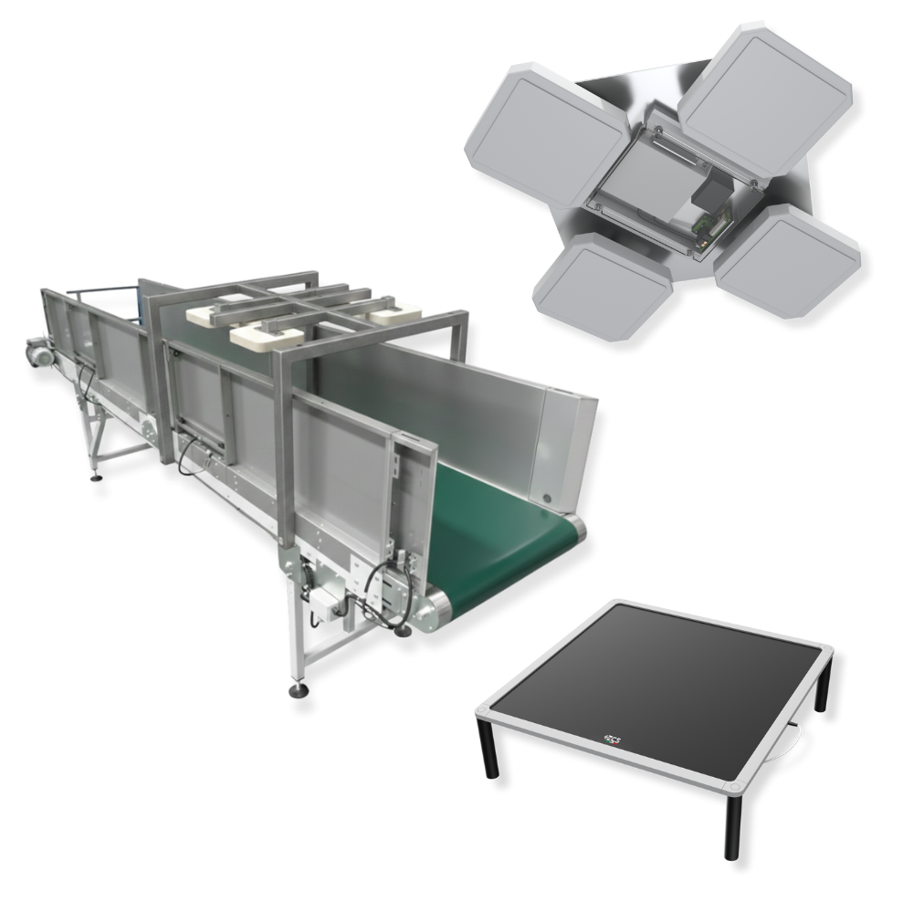 Checkpoints Reading Systems 01