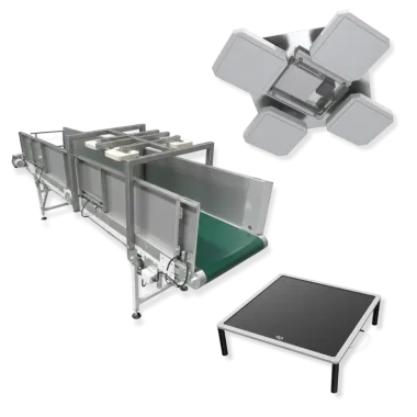 RFID checkpoint system